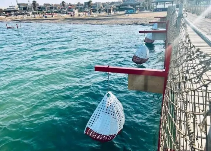 شاليه بقريه بلو باي اسيا العين السخنه للعائلات